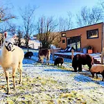 La Mini Maison Du Alpehytte Libin