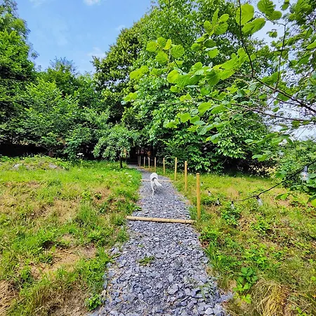 La Mini Maison Du Chalet