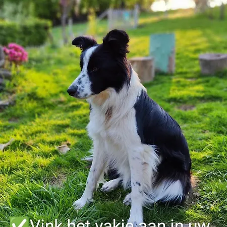 Chalet La Mini Maison Du